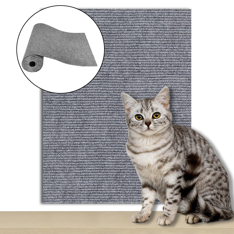 Tabby cat sitting in front of the grey cat scratch mat