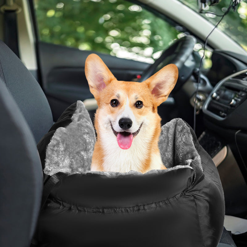 Small dog sitting in the plush car booster seat in a car