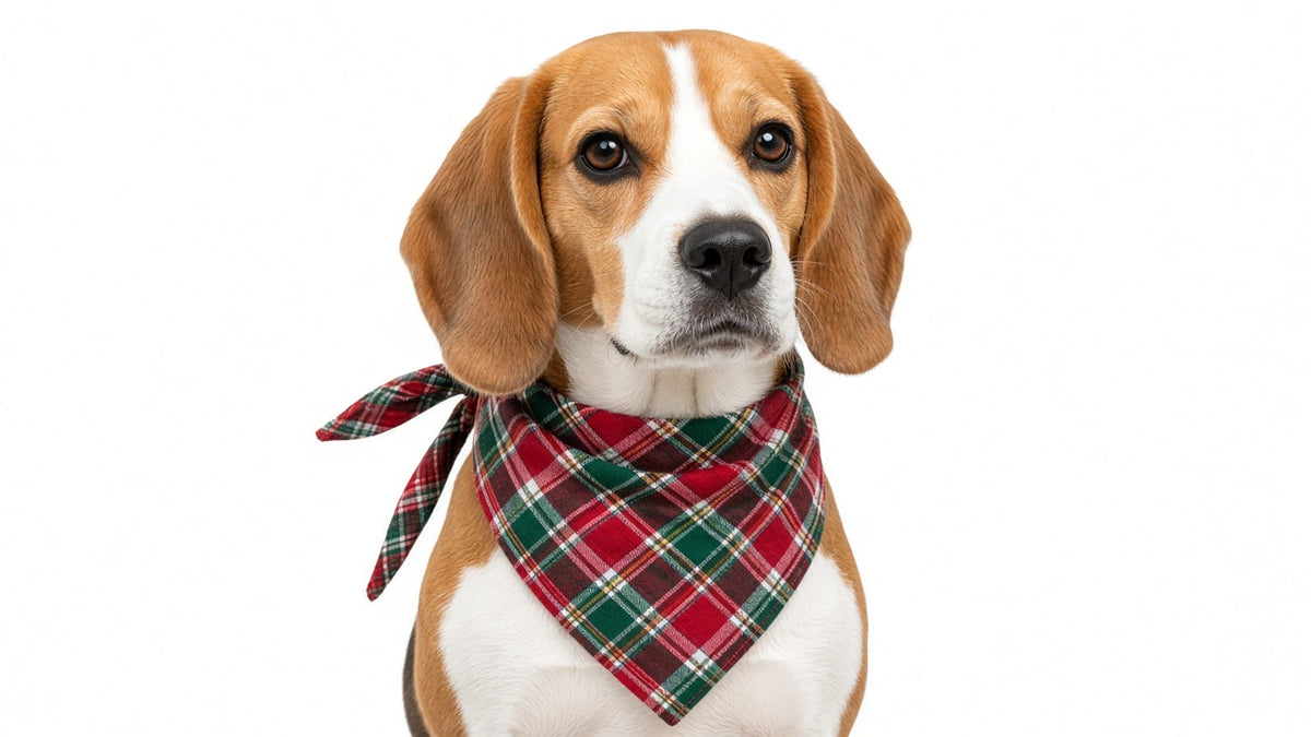 Red and green plaid My First Christmas dog bandana