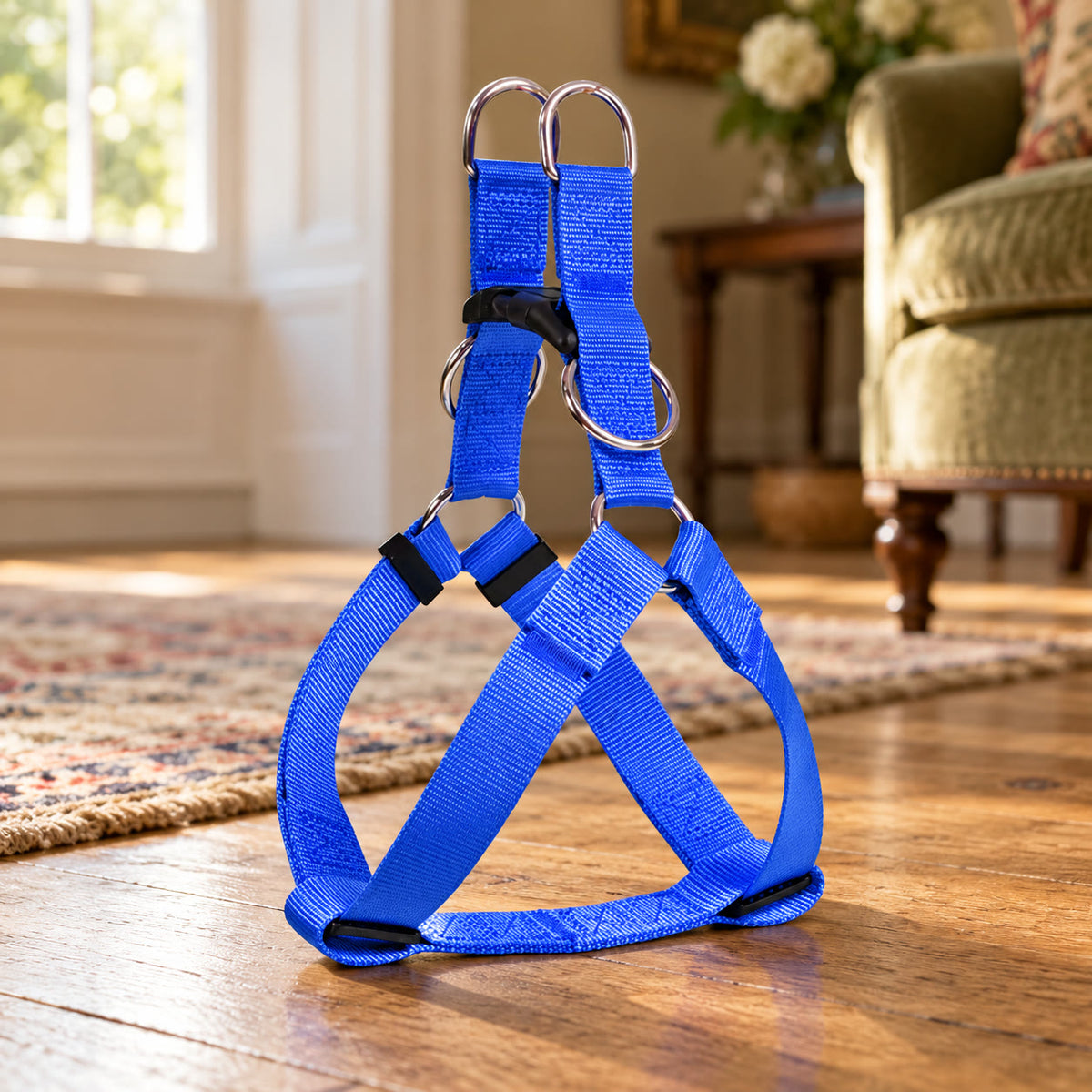 Blue nylon dog harness - styled in a country-house interior