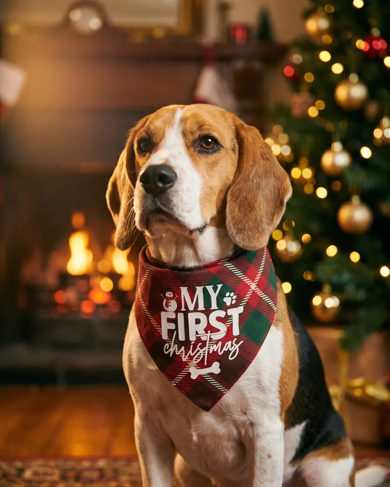 Their First Christmas, in a Plaid Bandana — styled photograph