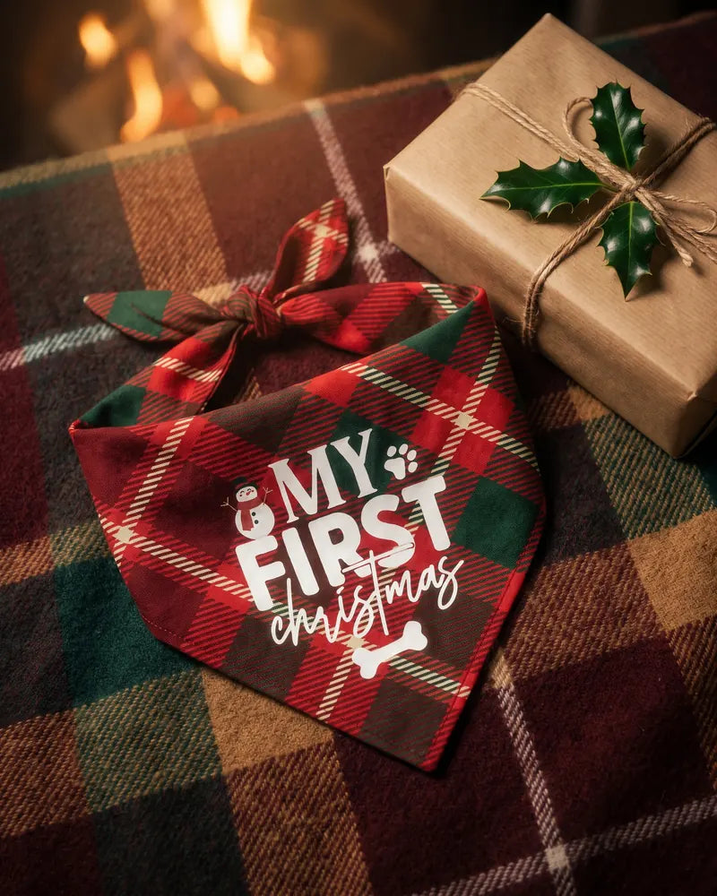 Their First Christmas, in a Plaid Bandana — styled photograph