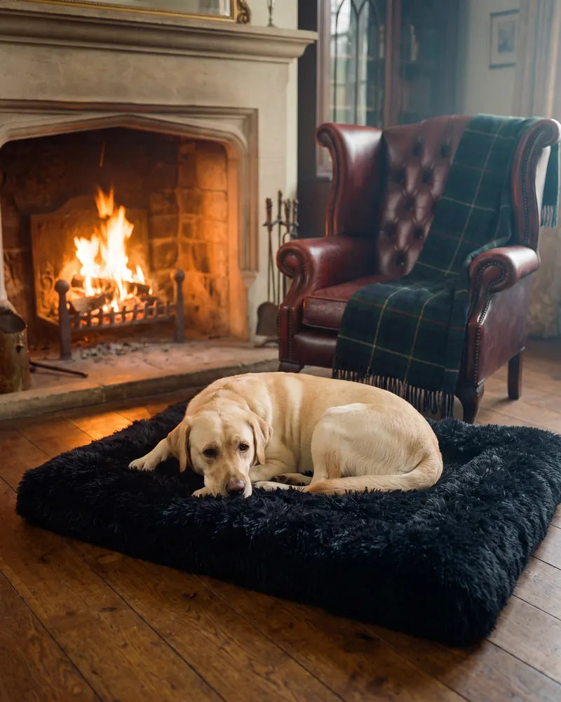 Flat Plush Pet Bed – XXL 86 x 70 cm — styled photograph